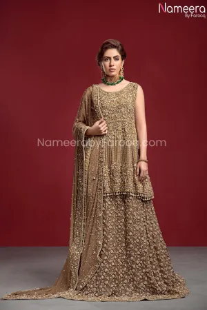 Royal Pakistani Wedding Lehenga Online for Bride #BR146